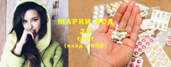 шишки Балахна