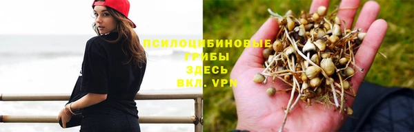 MESCALINE Баксан