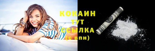 шишки Балахна