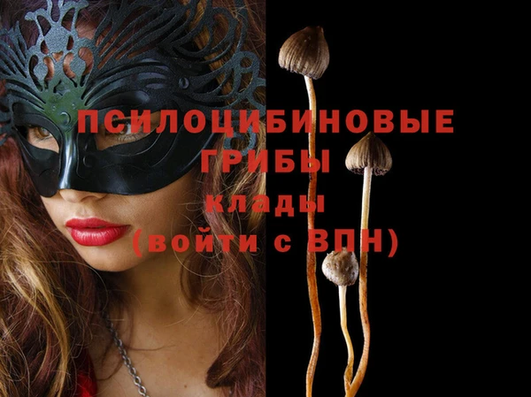 шишки Балахна
