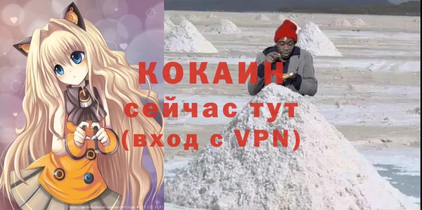 шишки Балахна