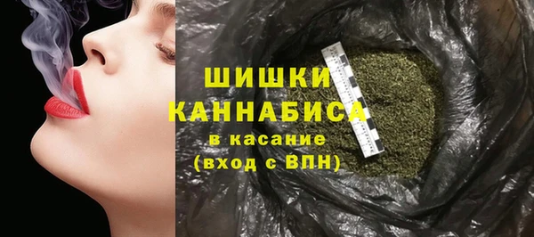 шишки Балахна